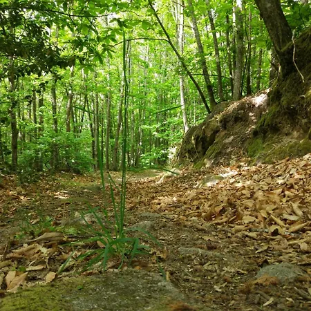 6 Hermanas Country house San Martin De Trevejo