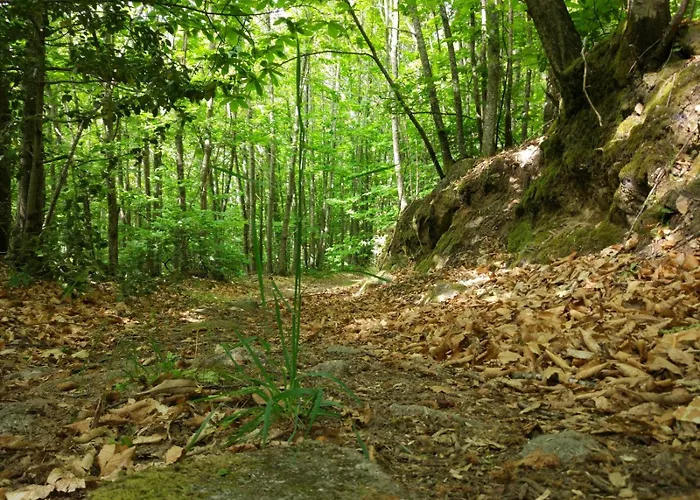 6 Hermanas Séjour à la campagne San Martín de Trevejo